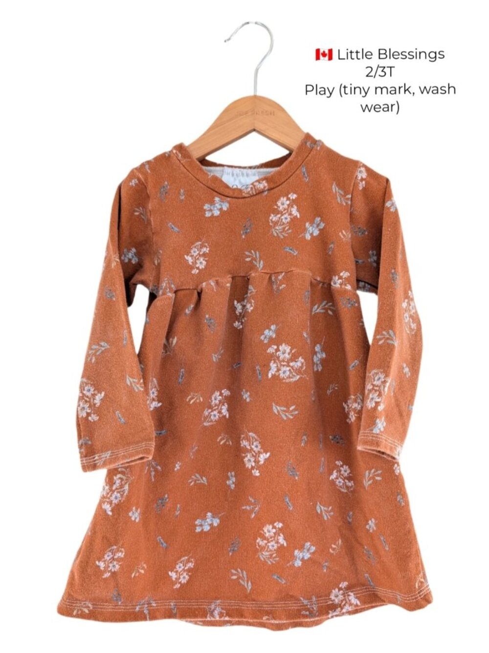 Little Blessings Floral Dress 2T 3T Girls Clothing Small Shop
